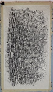 Image description is not available for DU1972.640